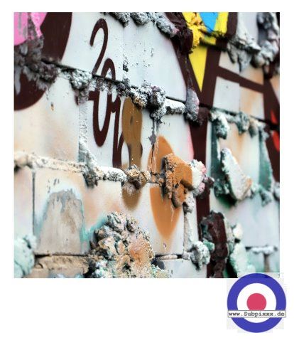 Serie - BERLIN23 - Teufelsberg - 1. Januar 2023 (65).JPG